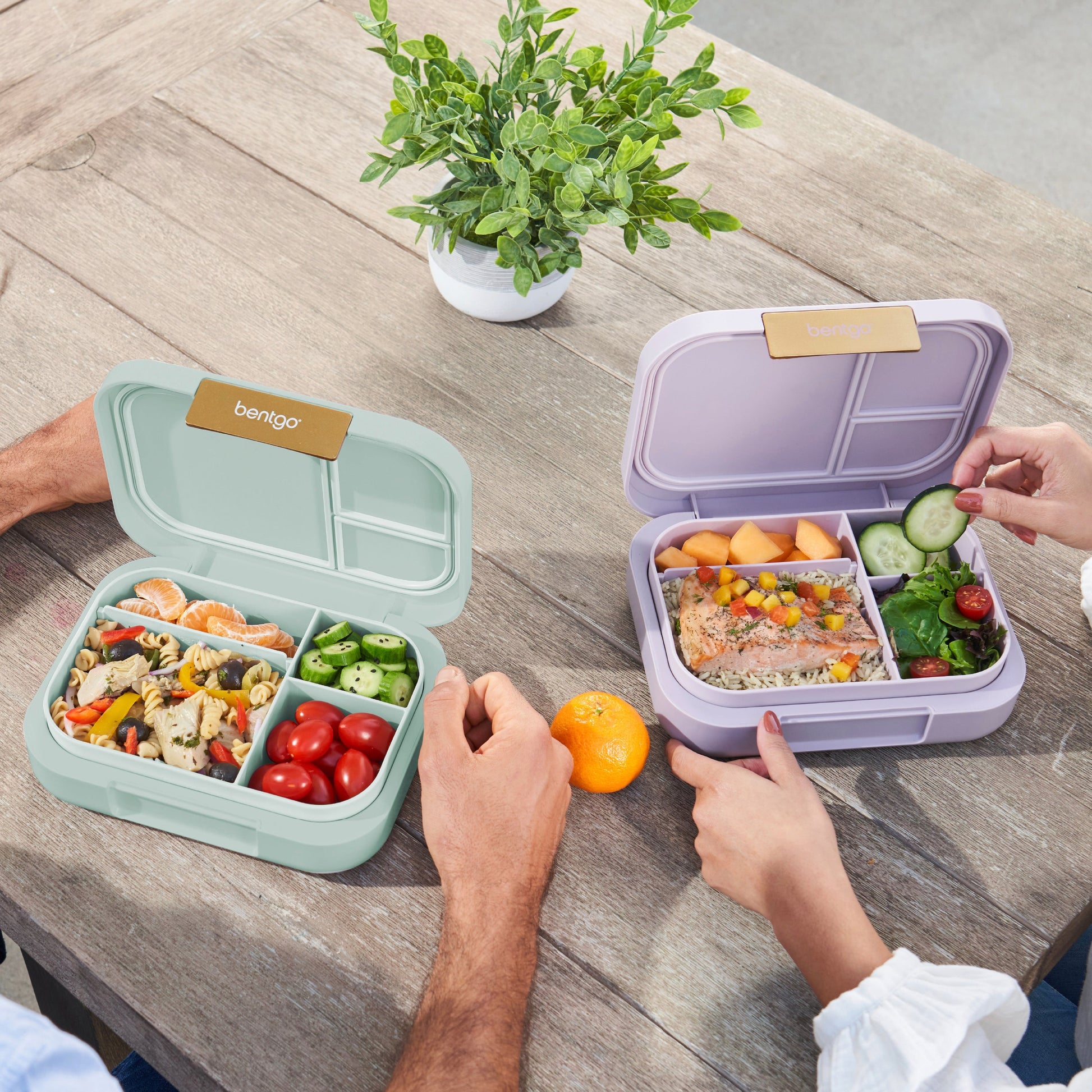 bentgo-modern-lunch-box-2-pack-v2 COSTCOBMCPRODUCTIMAGE_2.jpg